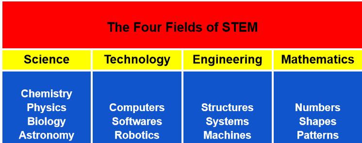 The Four Fields of STEM

